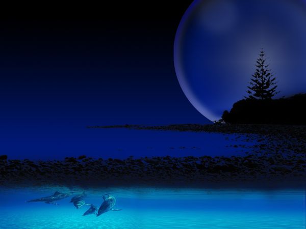 Lone Blue Moon